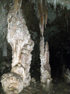 Cueva del Viento in Guajataca Forest