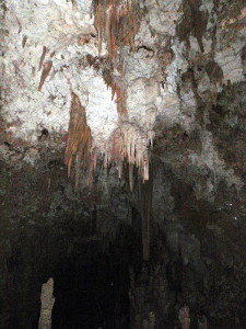 Cueva del Viento in Guajataca Forest