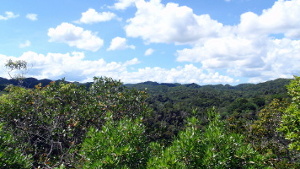 Guajataca Forest Interpretive Trail