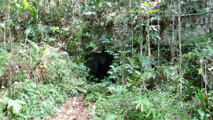 Guajataca Forest Interpretive Trail