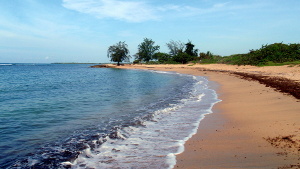 Tamarindo Beach