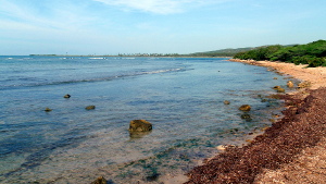 Aroma Beach