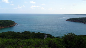Guanica Dry Forest