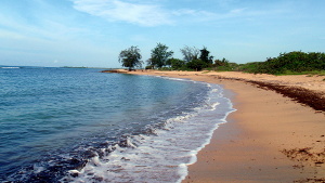 Tamarindo Beach
