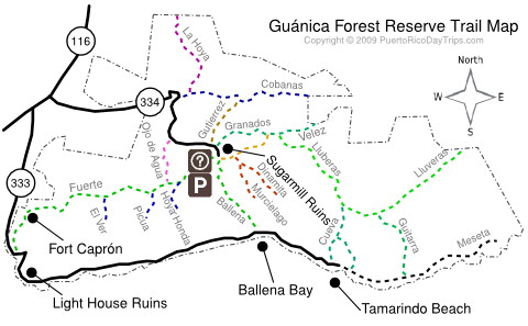 Guanica Forest Map