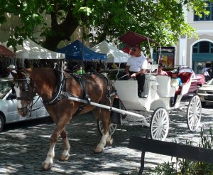 Old San Juan Horse Carriage Tour