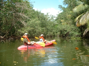 Kayaking in the Humacao Nature Reserve