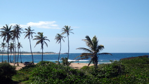 Playa Punta Sardinera