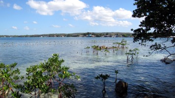 Isla Ratones Isla Ratones