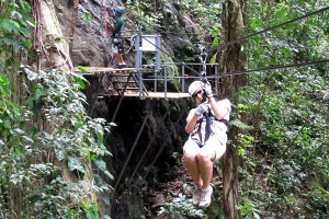 Junglequi