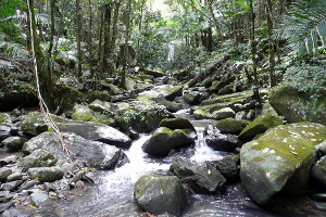 First River Crossing on La Coca Trail