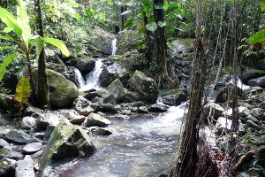 Second River Crossing on La Coca Trail