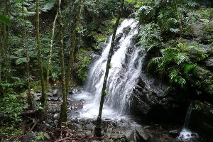 Waterfall along La Coca Trail