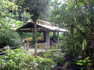 Picnic Shelter