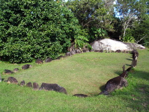 Batey at Cueva del Indio in Las Piedras