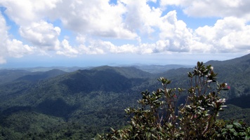 Los Picachos Trail