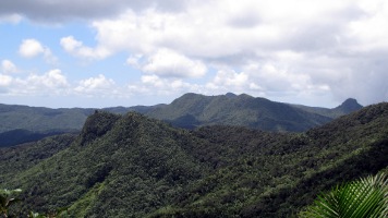 Los Picachos Trail