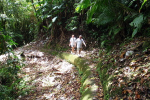 Los Prieto Falls