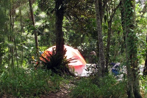 Parque Ecologico Monte del Estado
