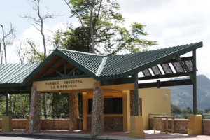 La Marquesa Forest park