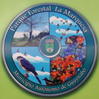 La Marquesa Forest park