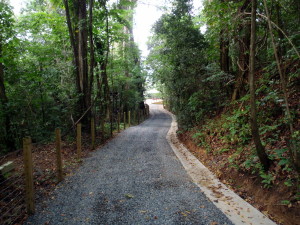 La Marquesa Forest park