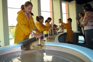 Museo del Nino
