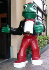 Senor Frog