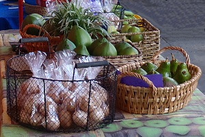 Organic Farmers Market in Old San Juan