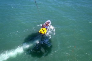Parasailing