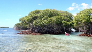 Kayaking in La Parguera