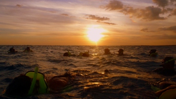 La Parguera at Sunset