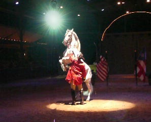 Paso Fino Horse Show