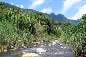 La Piedra Escrita in Jayuya