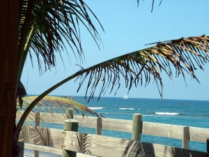 Pinones Beach View