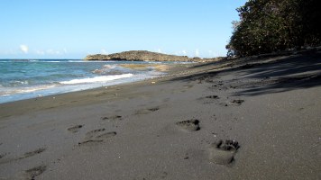 Playa La Esperanza Playa La Esperanza