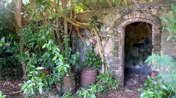 Playa Grande Sugarmill Ruins