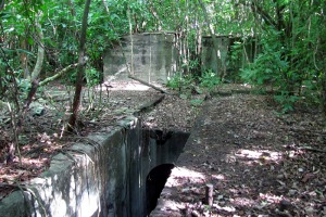 Playa Grande Sugarmill Ruins Playa Grande Sugarmill Ruins