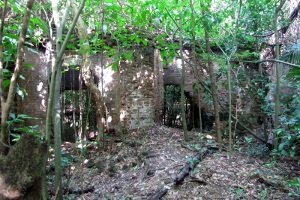 Playa Grande Sugarmill Ruins