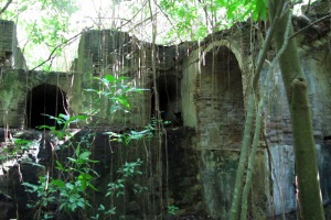 Playa Grande Sugarmill Ruins Playa Grande Sugarmill Ruins