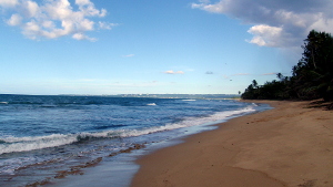 Sandy Beach Sandy Beach