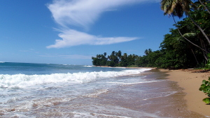 Steps Beach Steps Beach