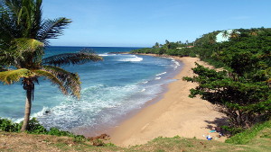 Domes Beach in Rincon
