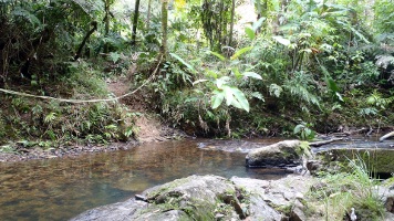Rio Sabana Trail
