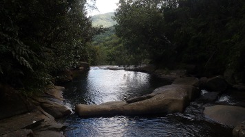 Rio Sabana Trail