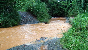 Salto Curet in Maricao