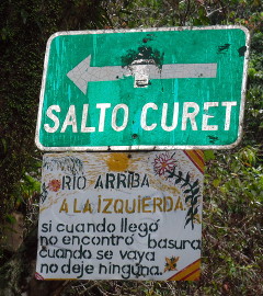 salto curet