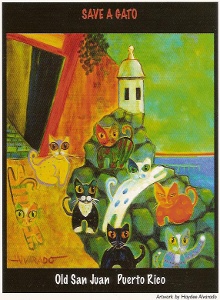 Save A Gato in Old San Juan