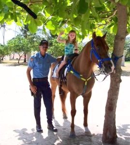 Friendly mounted police at Seven Seas