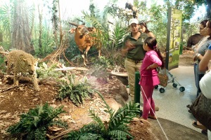 Museo de Vida Silvestre